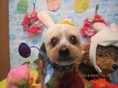 ファイル 7491-2.jpg