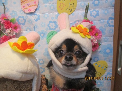 ファイル 7492-1.jpg