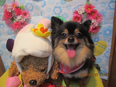 ファイル 7492-2.jpg