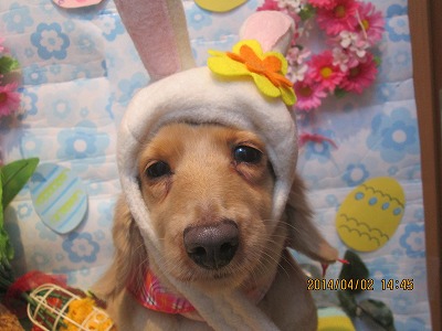 ファイル 7494-2.jpg