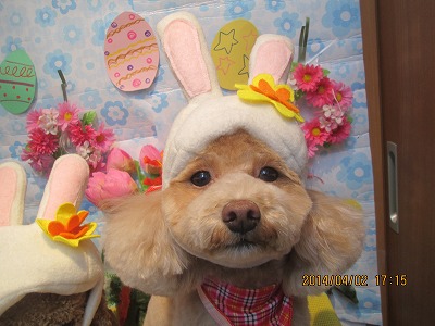 ファイル 7495-2.jpg