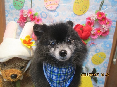 ファイル 7496-1.jpg