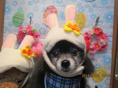 ファイル 7496-2.jpg