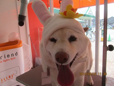 ファイル 7497-1.jpg