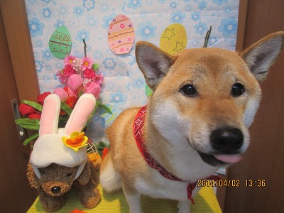 ファイル 7498-1.jpg