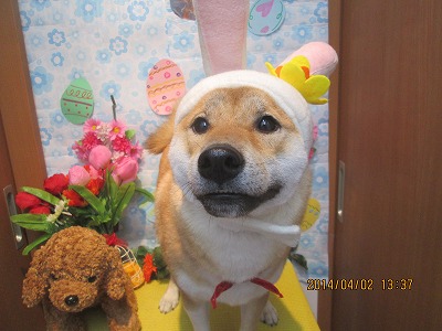 ファイル 7498-2.jpg