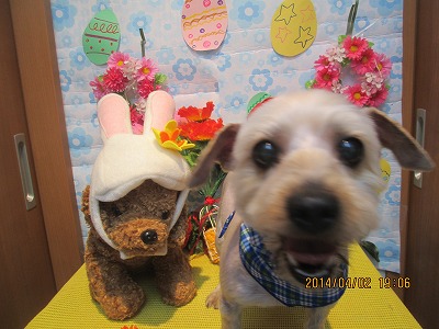 ファイル 7499-1.jpg