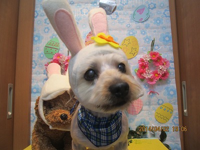 ファイル 7499-2.jpg