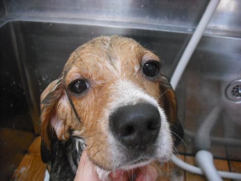 ファイル 75-2.jpg