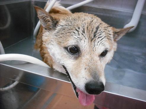 ファイル 750-2.jpg