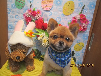 ファイル 7500-1.jpg