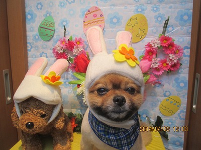 ファイル 7500-2.jpg