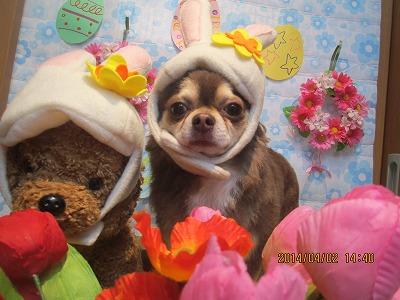 ファイル 7501-2.jpg