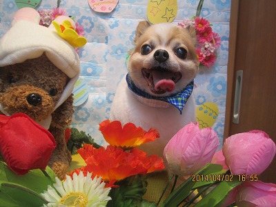 ファイル 7502-1.jpg