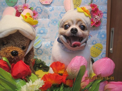 ファイル 7502-2.jpg