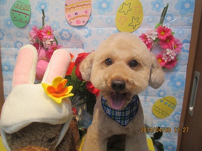 ファイル 7503-1.jpg