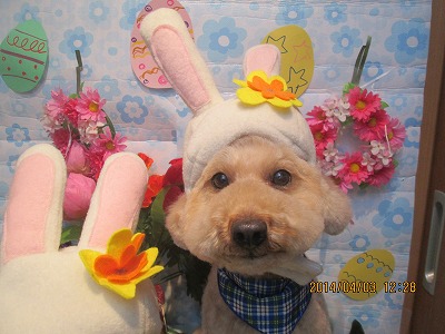 ファイル 7503-2.jpg