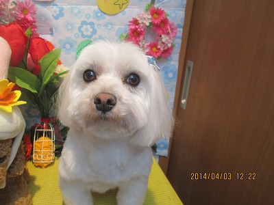 ファイル 7504-2.jpg