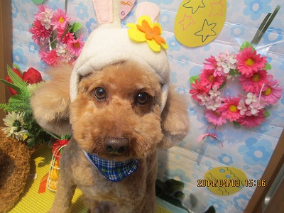 ファイル 7505-1.jpg