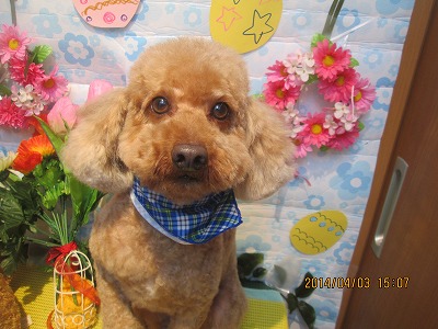 ファイル 7505-2.jpg