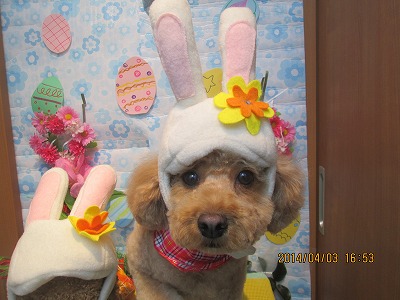 ファイル 7506-2.jpg