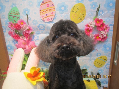 ファイル 7507-2.jpg