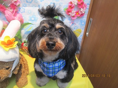 ファイル 7508-2.jpg