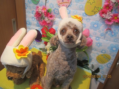 ファイル 7509-2.jpg