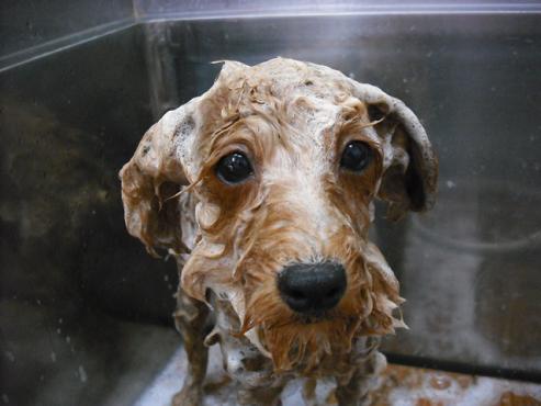 ファイル 751-2.jpg