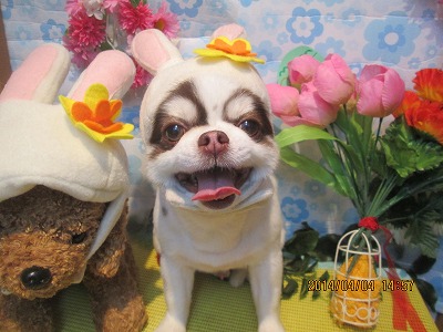 ファイル 7510-2.jpg