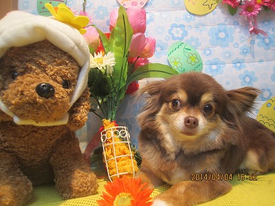 ファイル 7511-2.jpg