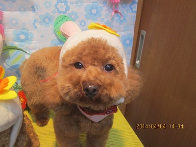 ファイル 7513-2.jpg