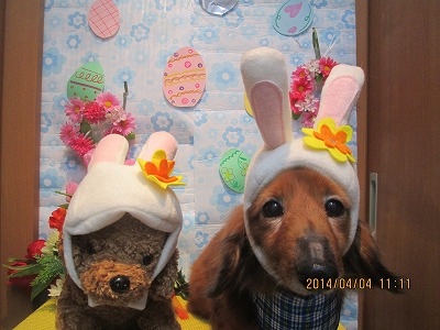 ファイル 7514-2.jpg