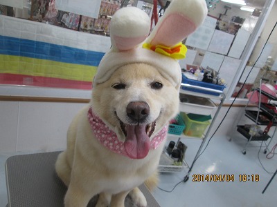 ファイル 7516-2.jpg