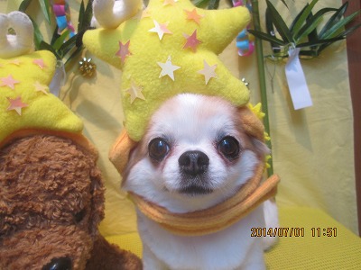 ファイル 7517-1.jpg