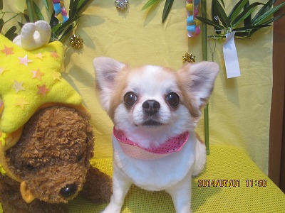 ファイル 7517-2.jpg