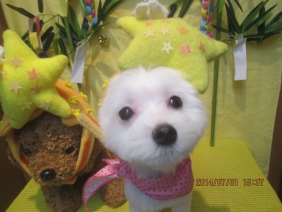 ファイル 7518-1.jpg