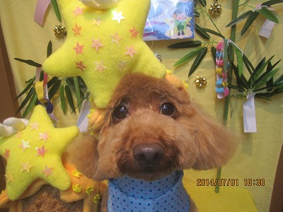 ファイル 7519-1.jpg