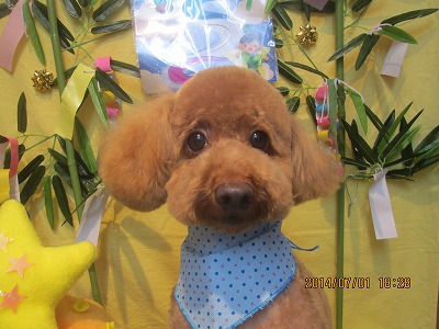 ファイル 7519-2.jpg