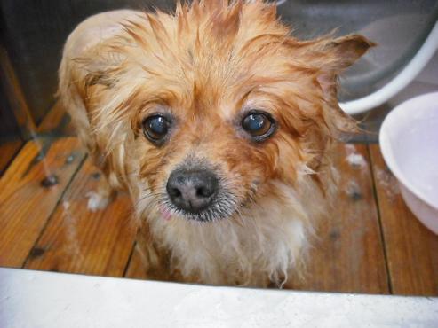 ファイル 752-2.jpg