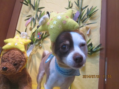 ファイル 7520-1.jpg