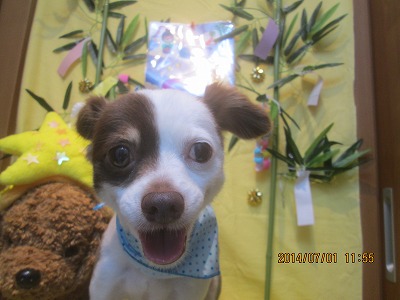 ファイル 7520-2.jpg