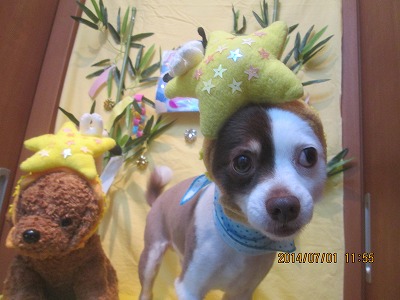 ファイル 7520-3.jpg