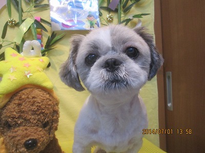 ファイル 7523-2.jpg