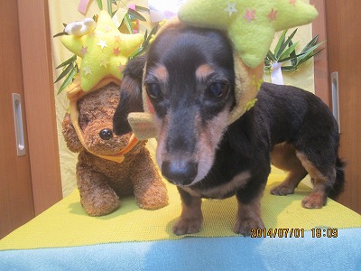 ファイル 7524-2.jpg