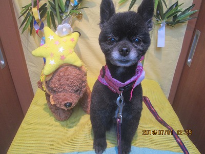 ファイル 7525-1.jpg