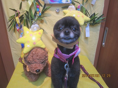 ファイル 7525-2.jpg