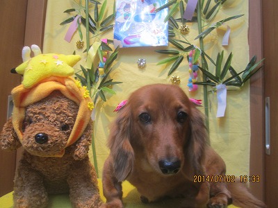 ファイル 7526-2.jpg