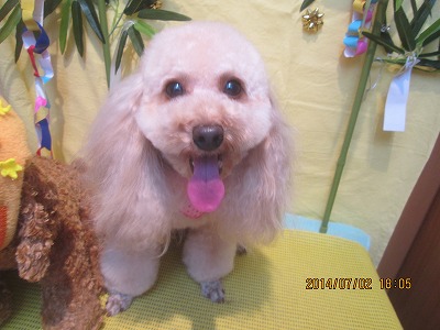 ファイル 7527-2.jpg