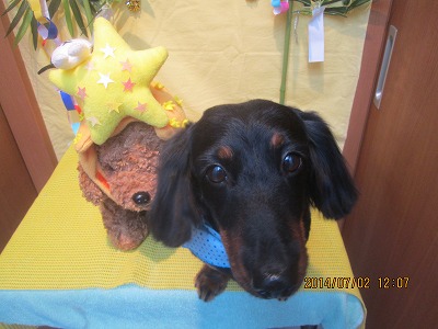 ファイル 7528-2.jpg